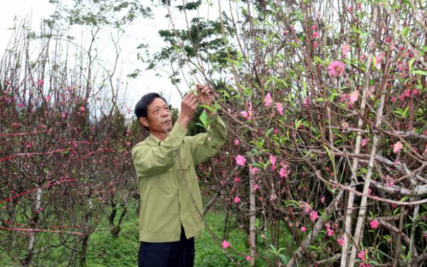 Mỹ Tân - Điểm sáng thôn kiểu mẫu