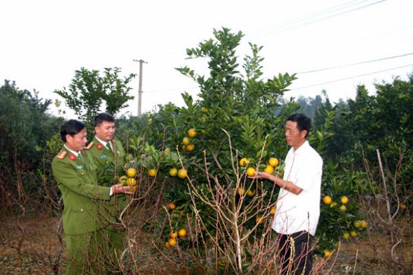 Mỹ Tân -Thôn phát triển toàn diện ở xã Tân Quang