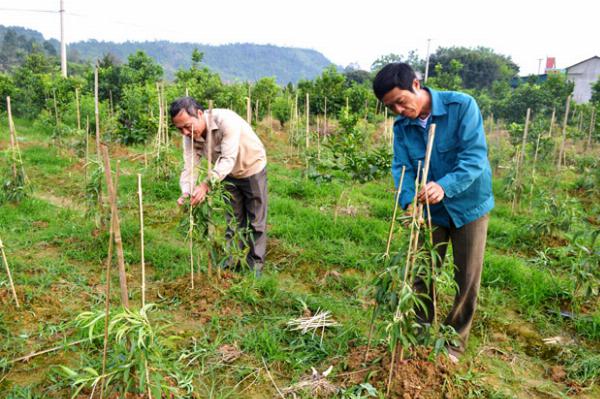 Nông thôn Bắc Quang khởi sắc từ một nghị quyết