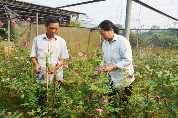 Mỹ Tân, điển hình thôn Tự chủ, tự quản kiểu mẫu