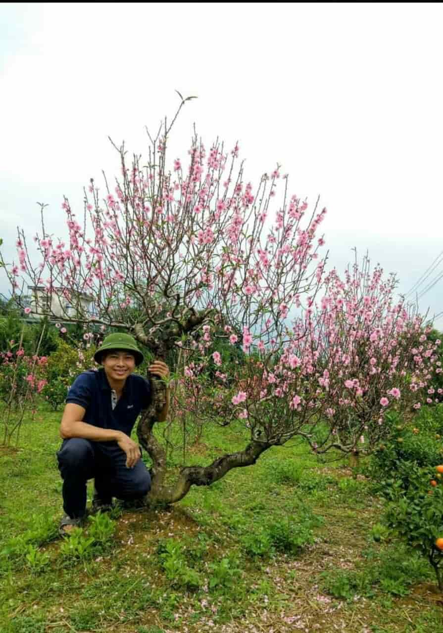 LÀNG HOA VÀO TẾT